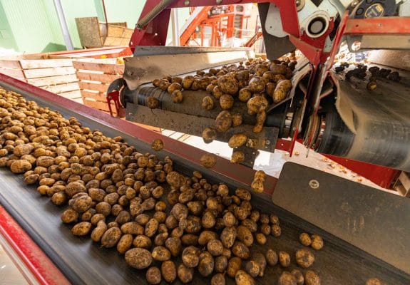 Agriculture conveyor belt support, repairs & maintenance for farms, grain facilities, feed mills & plants